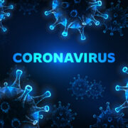 Access to Success in the Face of the Coronavirus Pandemic / Dr. Melika MolkAra